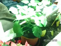 k-BILD2265.webp