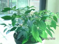 k-BILD2255.webp