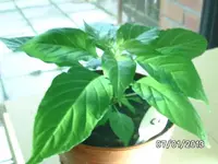 k-BILD2258.webp