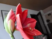 P1040432.webp