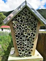 Copy of Insektenhotel (5).webp