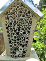 Copy of Insektenhotel (7).webp