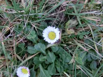 CIMG2420.webp