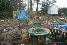 08.01.13-05.webp