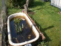 garten April 09 001.webp