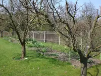 garten April 09 002.webp