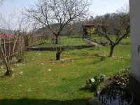 garten April 09 007.webp