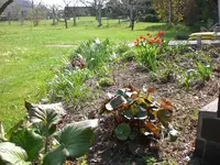 garten April 09 008.webp