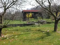 garten April 09 009.webp