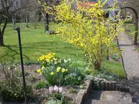 garten April 09 015.webp