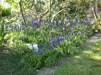 CIMG5220.webp