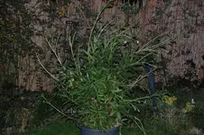 DSC_8202.webp