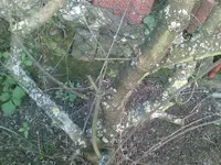 Bild 387.webp