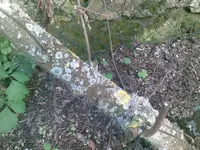 Bild 389.webp