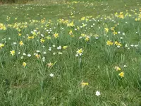 bild 2.webp