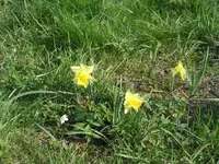 bild 4.webp