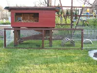 Garten 10.04.09 010.webp
