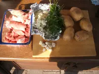 Garten 10.04.09 003.webp