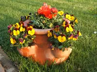 Garten 10.04.09 009.webp
