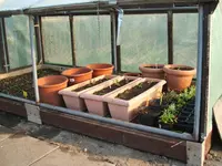 Garten 10.04.09 013.webp