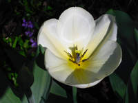 Spielpltz + Garten 022.webp