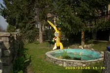 JD500070.webp