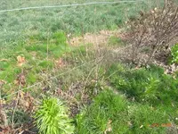 K800_R0010146.webp