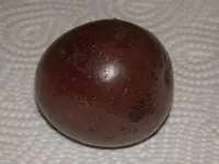 Maracuja Frucht.webp