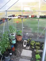 Garten 09 003.webp