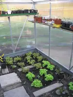 Garten 09 004.webp