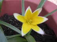 Garten 011.webp