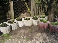 Garten 012.webp