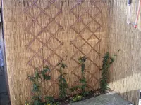 Garten 022.webp