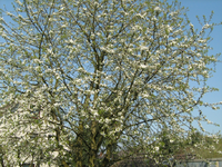 IMG_1508.webp