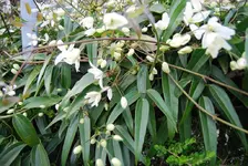 DSC_0008.webp