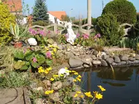 Garten 13.04.09 003.webp