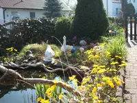 Garten 13.04.09 005.webp