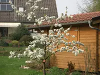 CIMG5259.webp