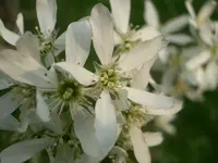 CIMG5262.webp