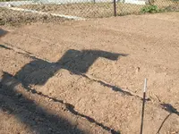 Garten 13.04.09 015.webp