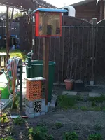 Garten 13.04.09 018.webp