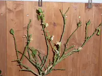 P1050641_800x600.webp