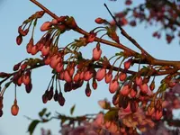 P1040429_600_450.webp