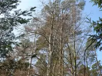 P1040519_600_450.webp