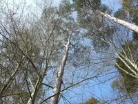 P1040523_600_450.webp
