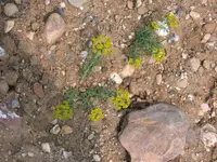 DSCN5739.webp