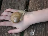 DSCN5718.webp