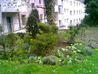 Garten.webp