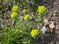 Wanderung 4 09 006.webp