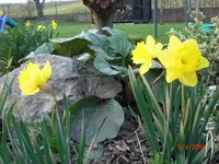 CIMG0617.webp
